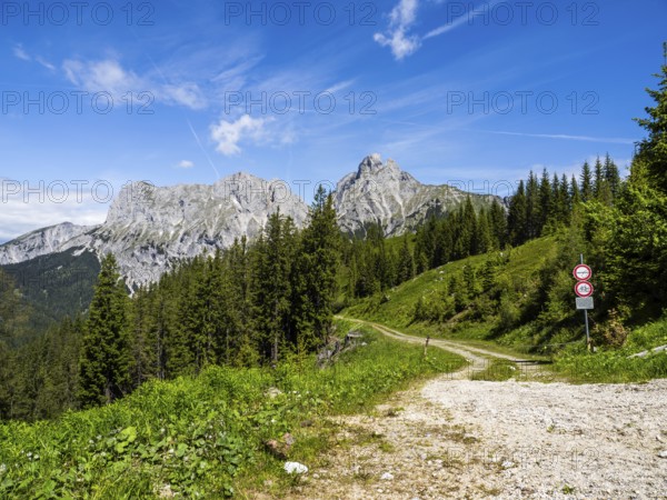 Forest road, behind Admonter Reichenstein, Ennstal Alps, Styria, Austria, Europe