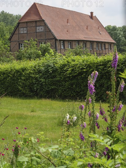 A traditional half-timbered house with a garden and a green hedge in the foreground, Steinfurt,