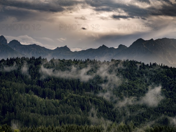 Forest with Alpine panorama near Roßhaupten in the Swabian district of Ostallgäu, Allgäu, Bavaria,
