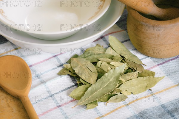 Dry green laurel leaves ready for cooking