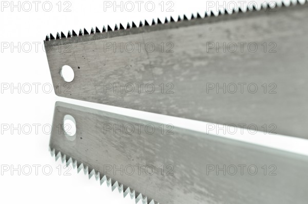 Reflecting saw blade of a fox tail