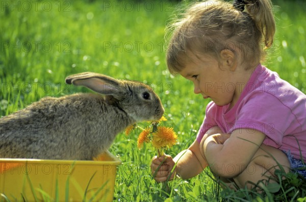 Girl with dandelion bouquet plays with rabbit