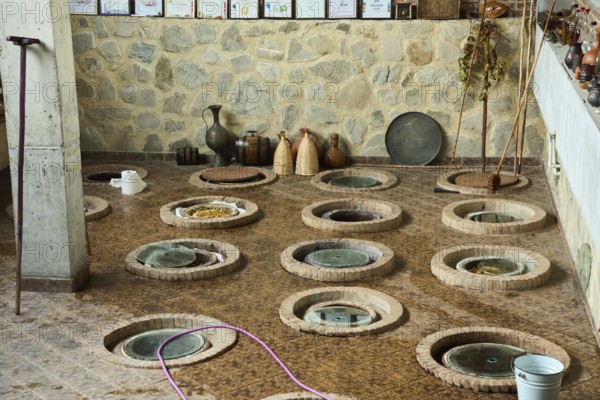 Wine cellar with traditional large earthenware vessels buried in the ground, Qvevri, Kvevri, in