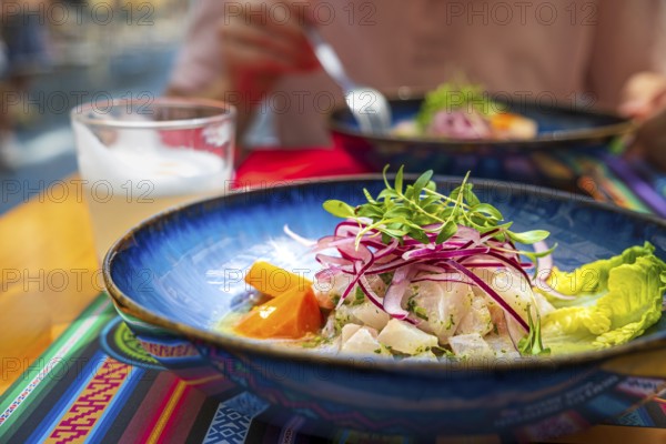 Fresh ceviche served in blue plate over placemat with traditional patterns, Pisco Sour cocktail.