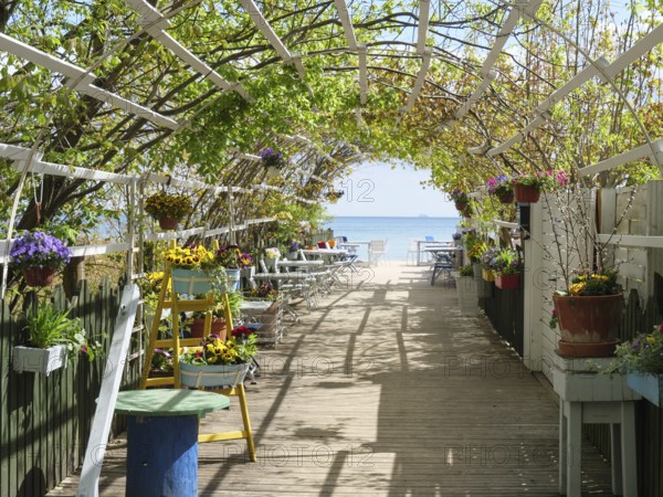 A blooming garden terrace with a view of the sea on a sunny day, sopot, baltic sea, poland