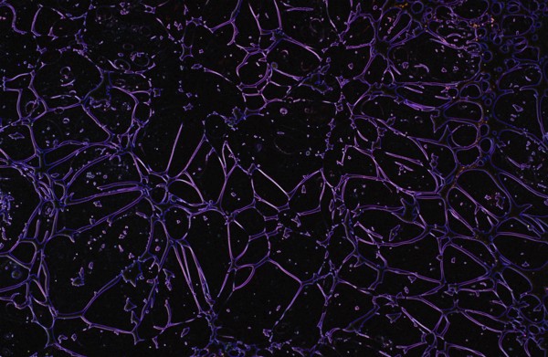 Lightning bolts radiatingas a background texture
