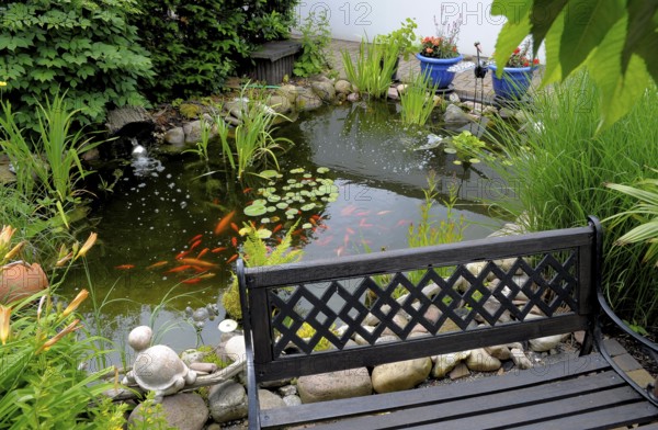 Garden pond with goldfish