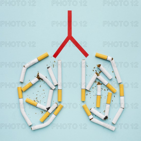 Lungs shape with cigarettes