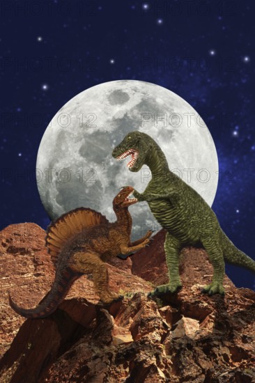 Tyrannosaurus, Tyrannosaurus rex and Spinosaurus, a large carnivorous theropod from the late