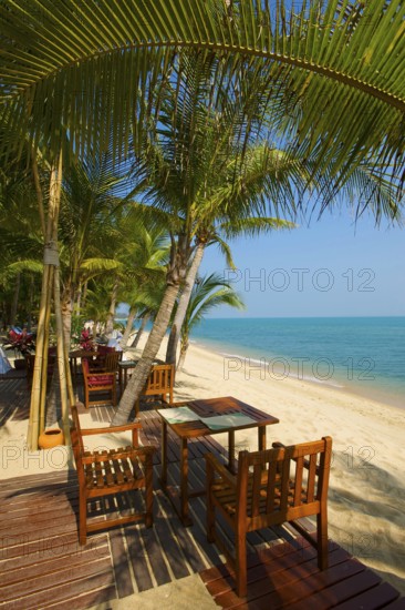 Mae Nam Beach, Ko Samui Island, Thailand, Southern Thailand, Palm Beach, Palm Trees, Asia