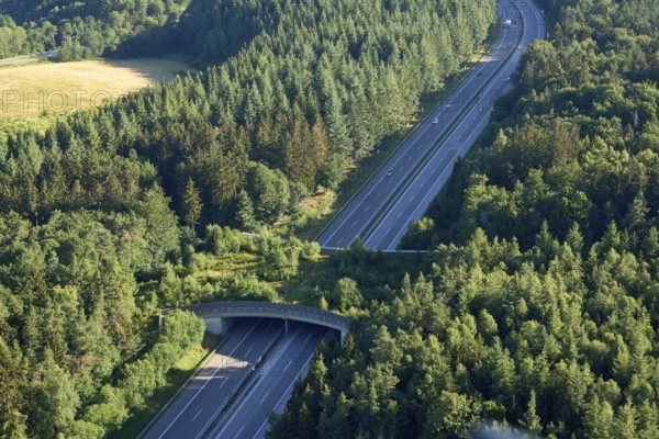 Game bridge on the A1 near Wittlich. Wittlich, Rhineland-Palatinate, Germany, Europe