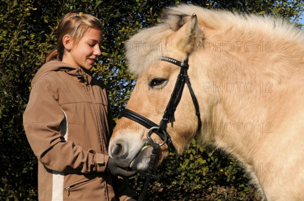 Girl and old horse, fjord horse, mare, 23 years old, norwegian, bridle