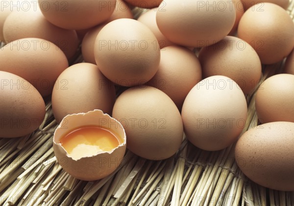 Chicken Egg, Chicken Eggs, Eggs, Chicken Eggs