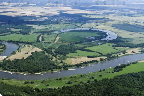 Elbe between Roßlau and Vockerode, Werder, Alte Elbe, Saxony-Anhalt, Germany, Europe