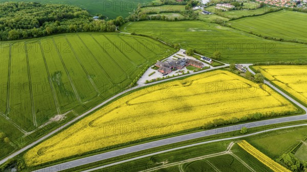Aerial view, Denmark, Region Syddanmark, Christiansfeld, Agriculture and farms with grain and rape