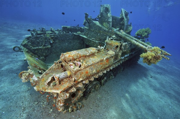 Sunken tank next to Seven Sisters dive site, Aqaba, Jordan, Red Sea, Asia Minor, Aqaba, Asia