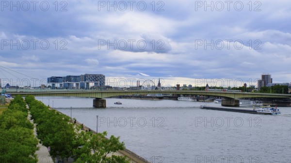 View over the Rhine with crane houses and bridge, trees in front, Cologne, Germany, Europe