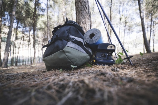 Backpack camera near tree