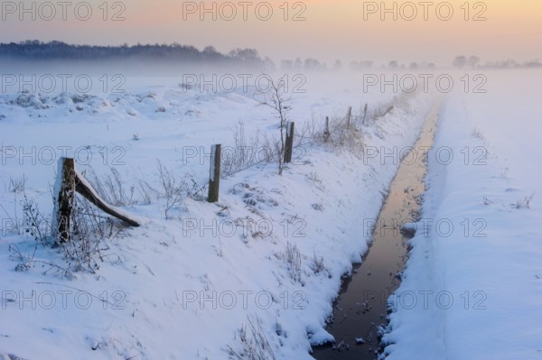 Moat, Boller Moor, Oldenburger Münsterland, Lower Saxony, Germany, Europe