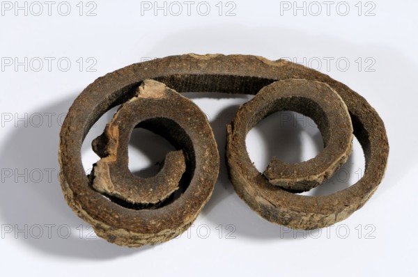 Magnolia bark (Magnoliae Officinalis Cortex), Hou Po, freehand, object