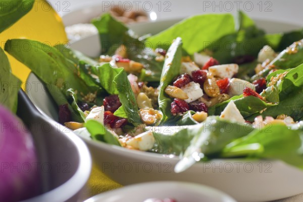 Plate of fresh colorfull spinach salad close up