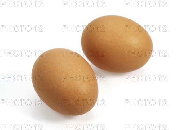 Chicken egg, chicken eggs, eggs, CHICKEN EGGS against white background