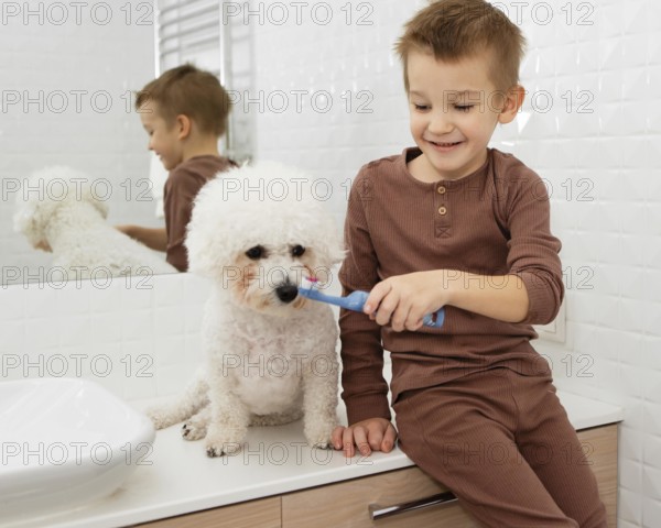 Boy helping his dog wash his teeth home