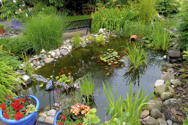 Garden pond with goldfish