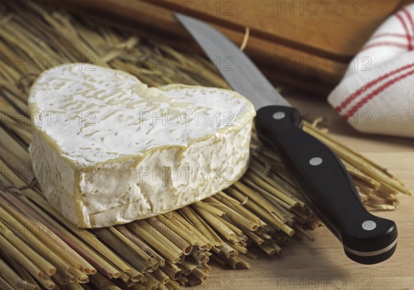 Neufchatel, French cheese, made in Normandy from cow's milk
