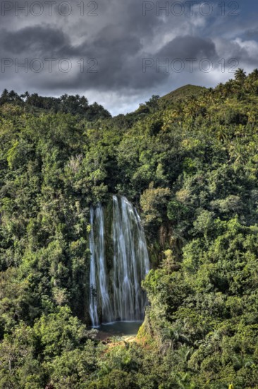 Waterfall Cascada El Limon, Las Terrenas, Samana Peninsula, Dominican Republic, Central America