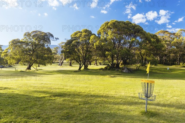 Lake Crackenback disc golf course in late afternoon light in Kosciuszko National Park in New South