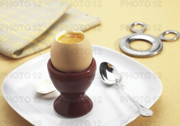 Soft-Boiled Chicken Egg in Eggcup