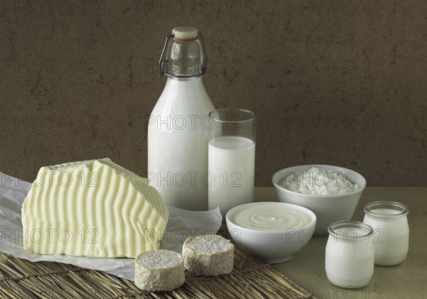Dairy Products, Cream, Milk, Butter, Soft cheese, Yogurt