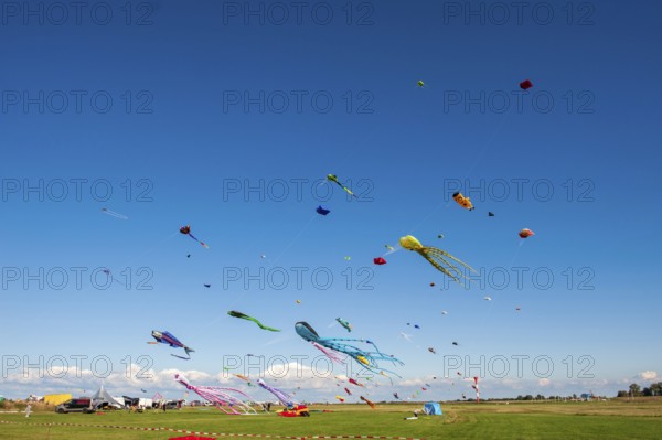 Kites in the sky at the Elbe Beach Festival 2022 in Otterndorf, Cuxhaven District, Lower Saxony,