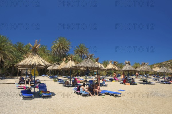 Palm Beach Vai, Crete, Greece, Europe