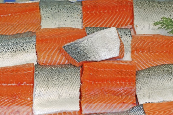 Fresh salmon at the fishmonger