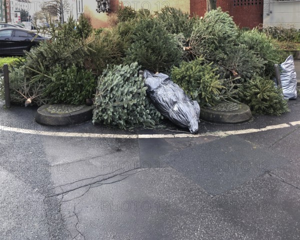 discarded christmas trees piled on street curb for garbage collection in Germany