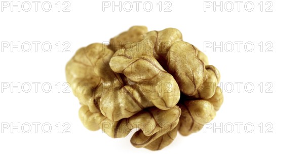 Walnut (juglans regia), Dry Fruit against White Background