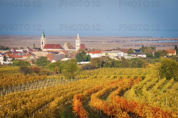 Town of Rust in Burgenland in Autumn