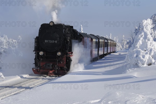 Brockenbahn, Harz National Park, Saxony-Anhalt, Germany, Europe