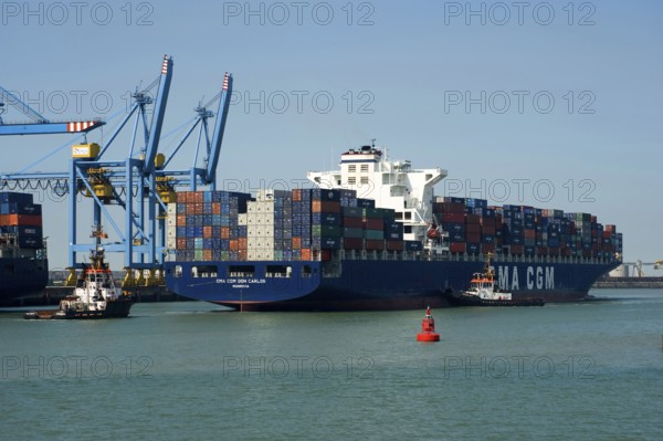 Container ship in port, Flanders, Zeebrugge, West Flanders, Belgium, Europe