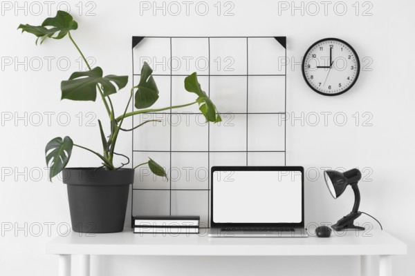 Desk arrangement with laptop plant