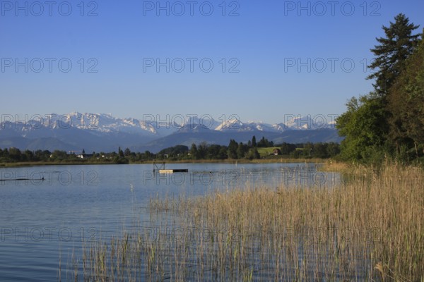 Clear spring morning at the shore of Lake Pfaffikon, Switzerland, Europe
