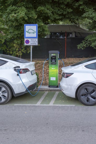 Moscenicka Draga, Croatia, August, 11, 2022 : Two white Tesla cars charging at EV charging station