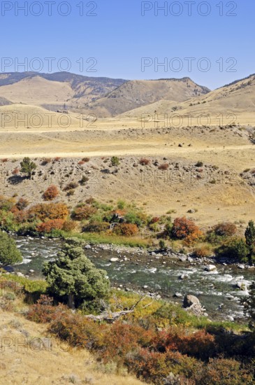 River in autumn, Yellowstone National Park, Montana, USA, North America