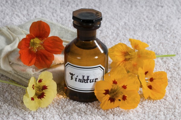 Nasturtium (Tropaeolum majus), nasturtium tincture (tincture)