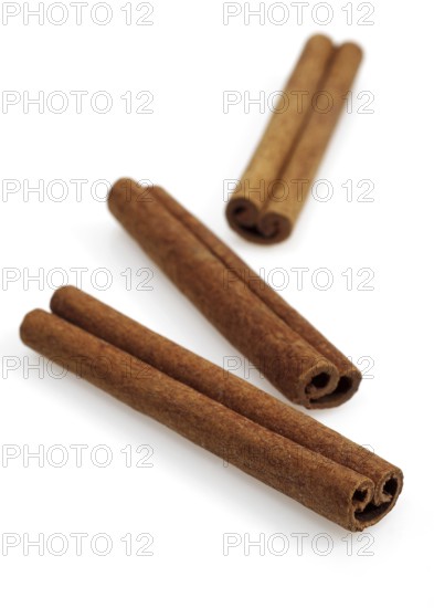 Cinnamon Bark (cinnamomum zeylanicum), Spice against White Background