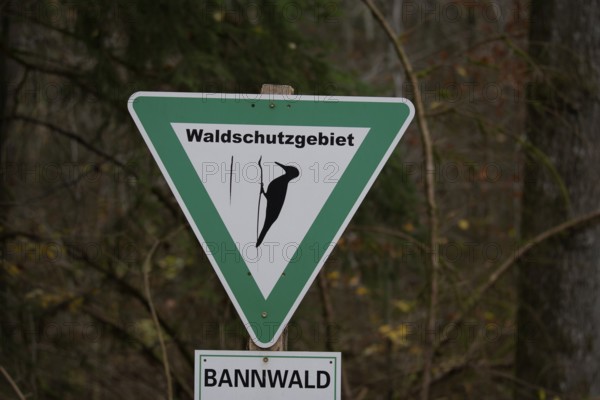 Sign in the forest, protected forest, forest reserve, woodpecker area, woodpecker, Schwäbisch Hall,