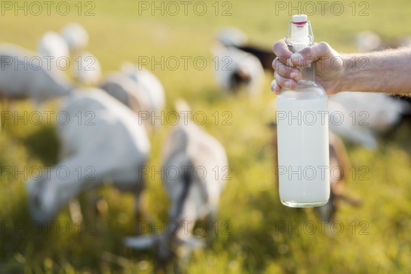 Close up man with bottle goat milk