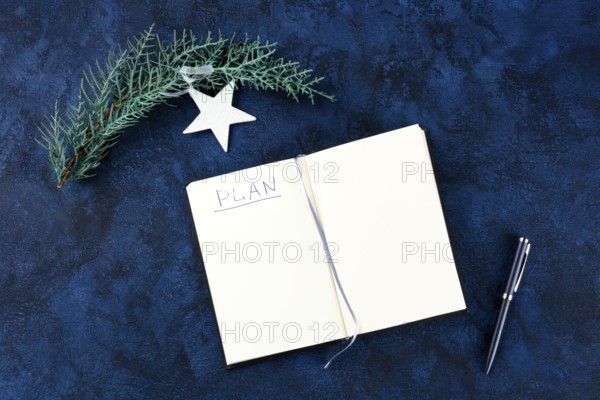New Year resolutions, flatlay overhead shot with the handwritten word Plan and copyspace, on a dark